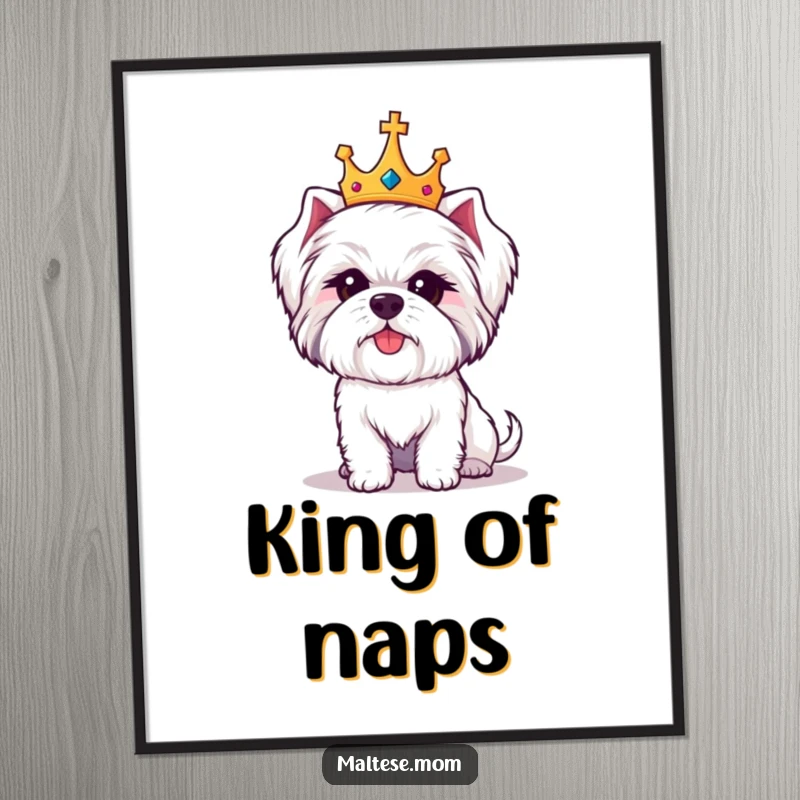 Funny Maltese dog poster featuring a cute white dog wearing a tiny golden crown, looking regal and undeniably amused.